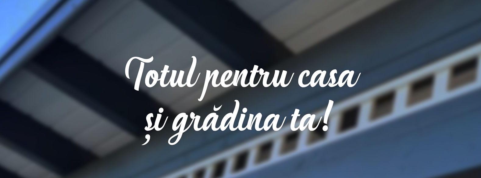 Construcţii lemn ARAD